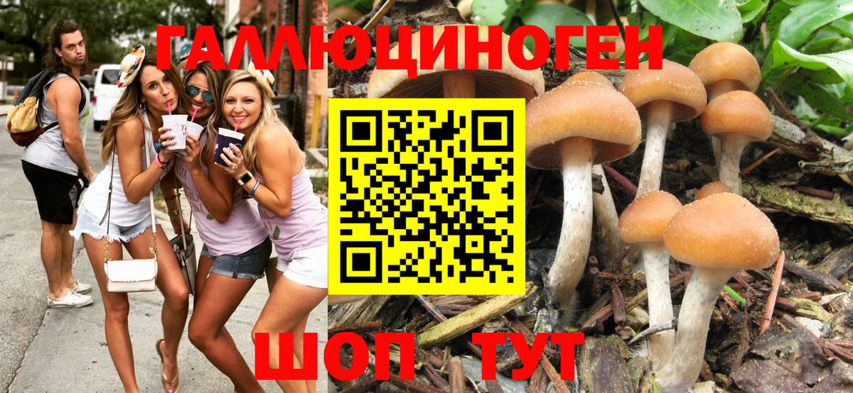 Псилоцибиновые грибы Cubensis  Псилоцибиновые грибы Psilocybine cubensis  Вход с VPN  Учалы 